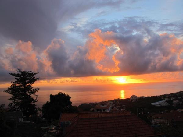 Madeira House Villa Calheta  Szoba fotó